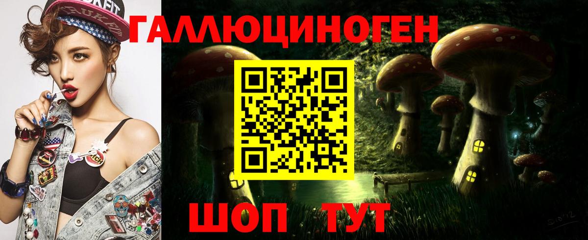Псилоцибиновые грибы MAGIC MUSHROOMS  Вход с VPN  Соль-Илецк 